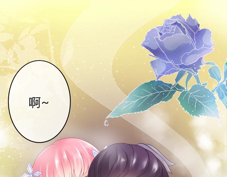 第0+1话 从天而降的喵？141