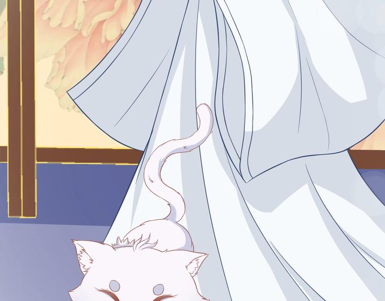 第0+1话 从天而降的喵？68