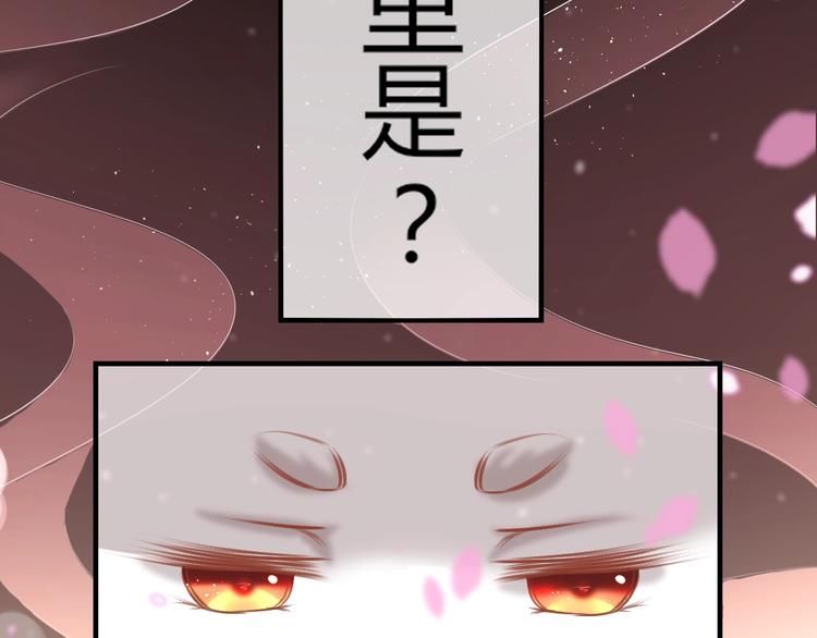 第0+1话 从天而降的喵？30