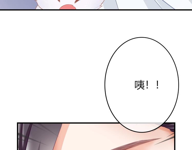 第0+1话 从天而降的喵？69