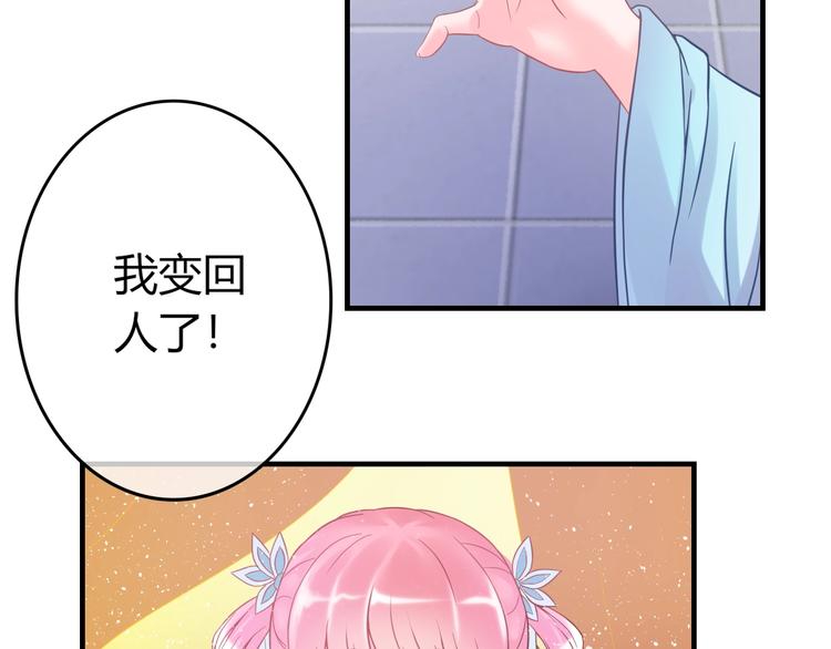 第0+1话 从天而降的喵？80