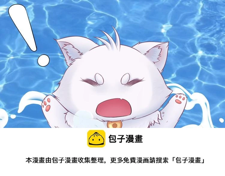 第0+1话 从天而降的喵？49