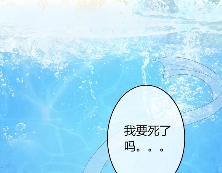 第0+1话 从天而降的喵？113