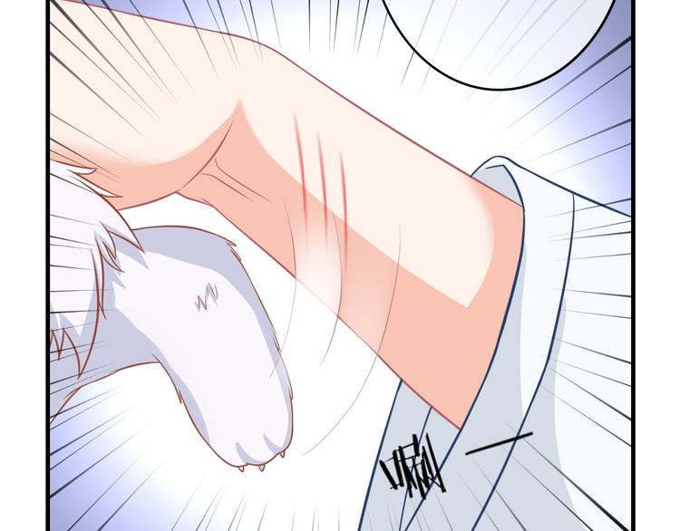 第0+1话 从天而降的喵？65