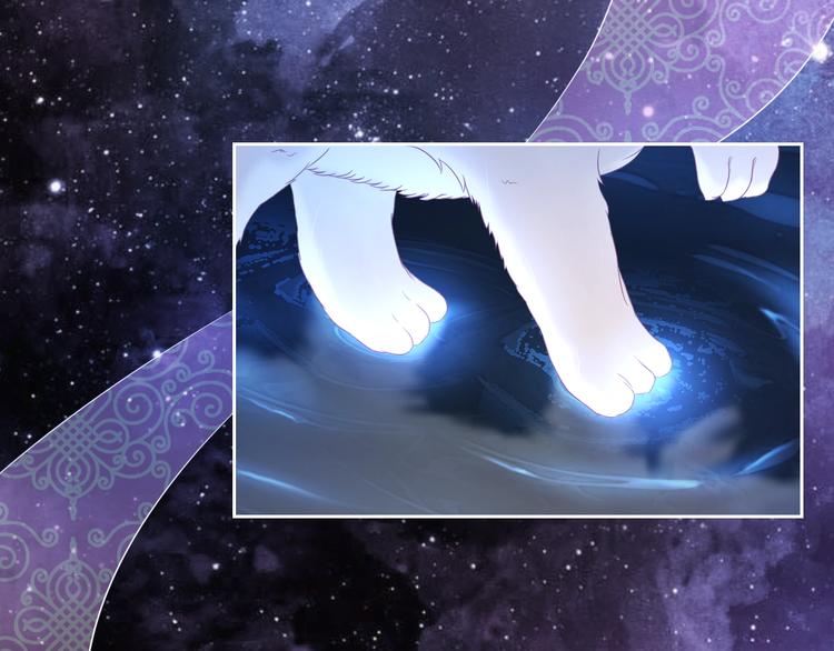 第0+1话 从天而降的喵？4