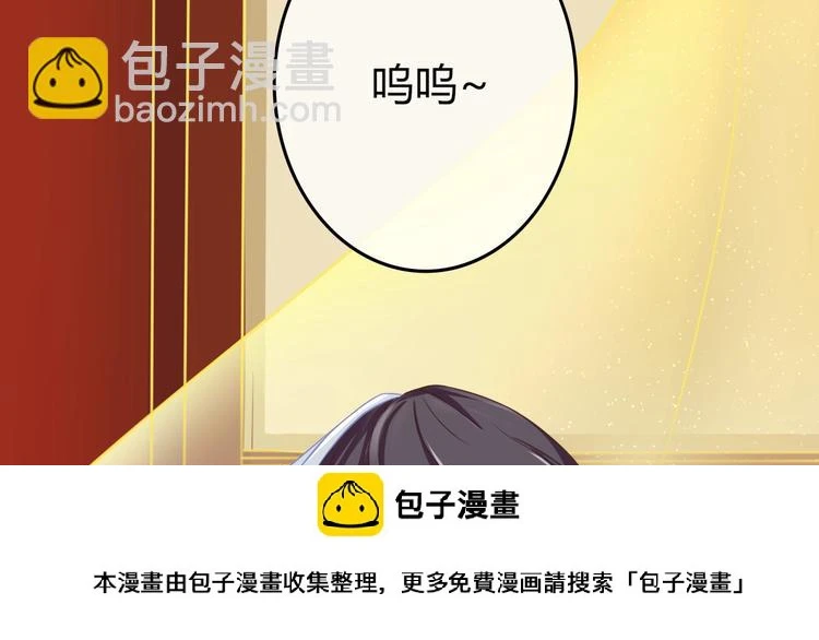 第0+1话 从天而降的喵？99