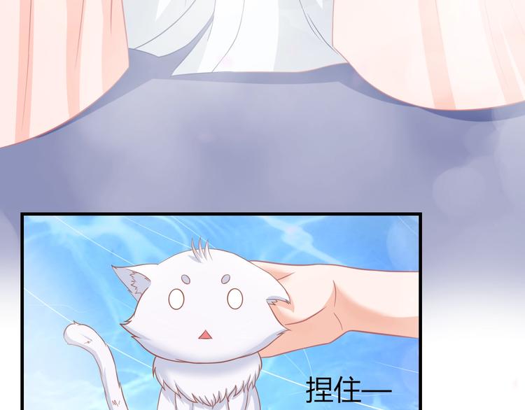 第0+1话 从天而降的喵？62