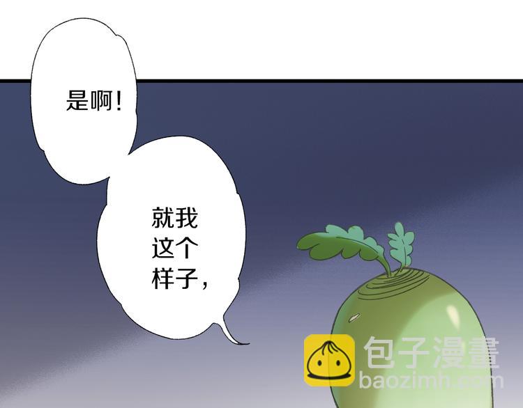 第6话 胖屋奇遇100