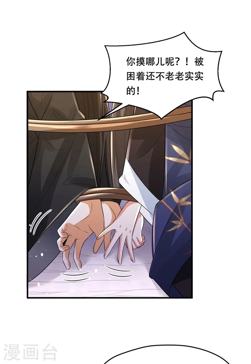 第33话 主子你快醒醒！26