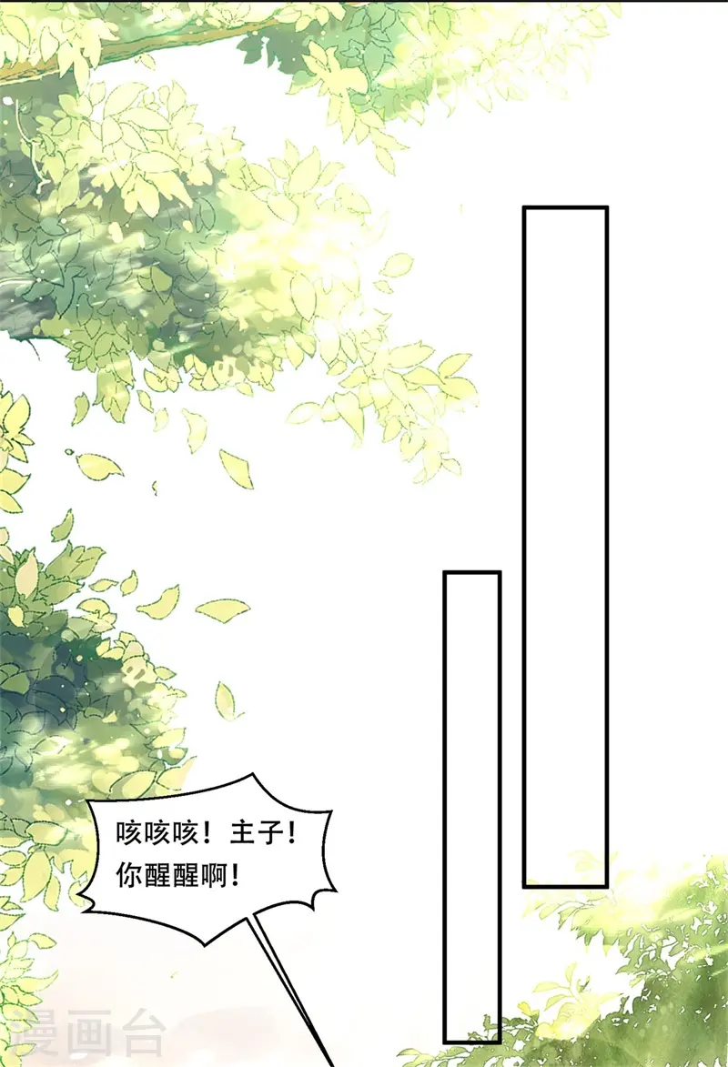 第33话 主子你快醒醒！11