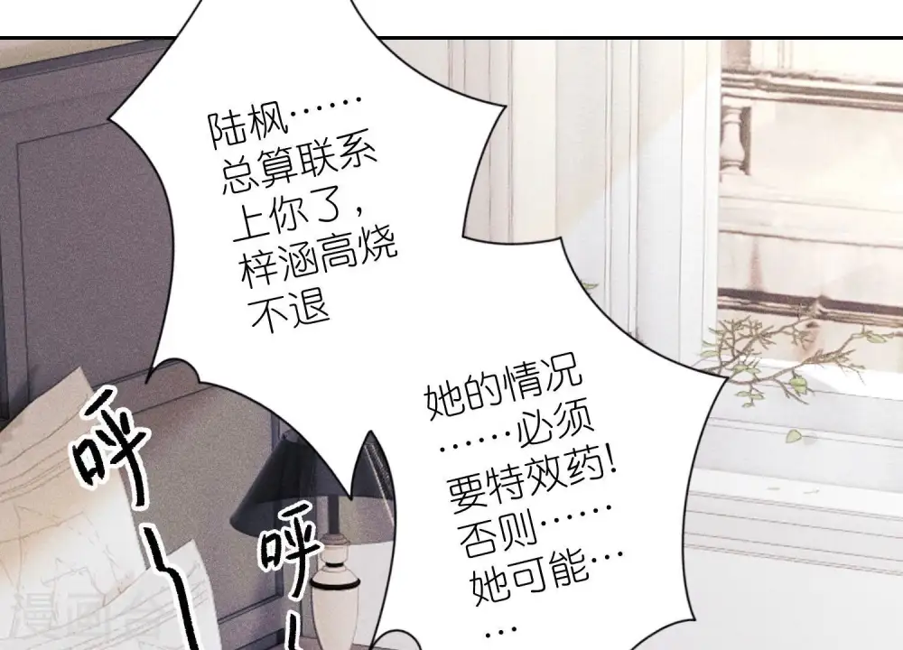第231话 陆少归位43