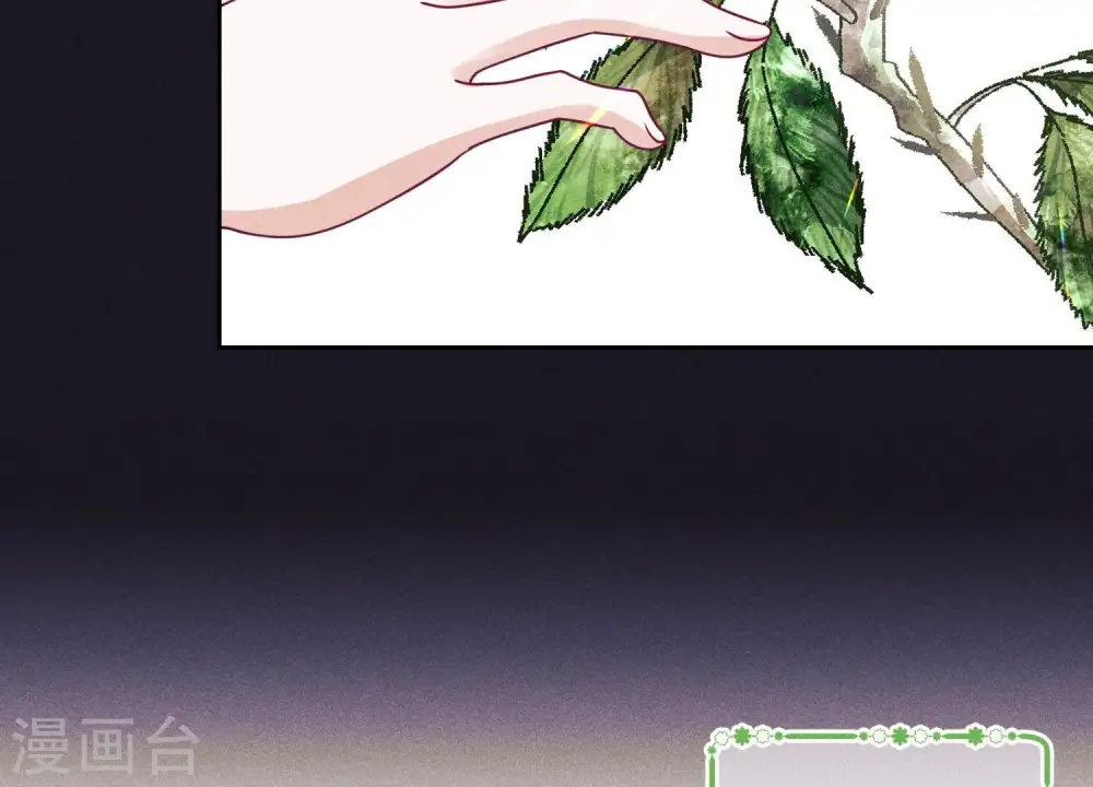 第231话 陆少归位17