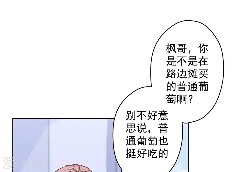 第104话 真假水晶葡萄35