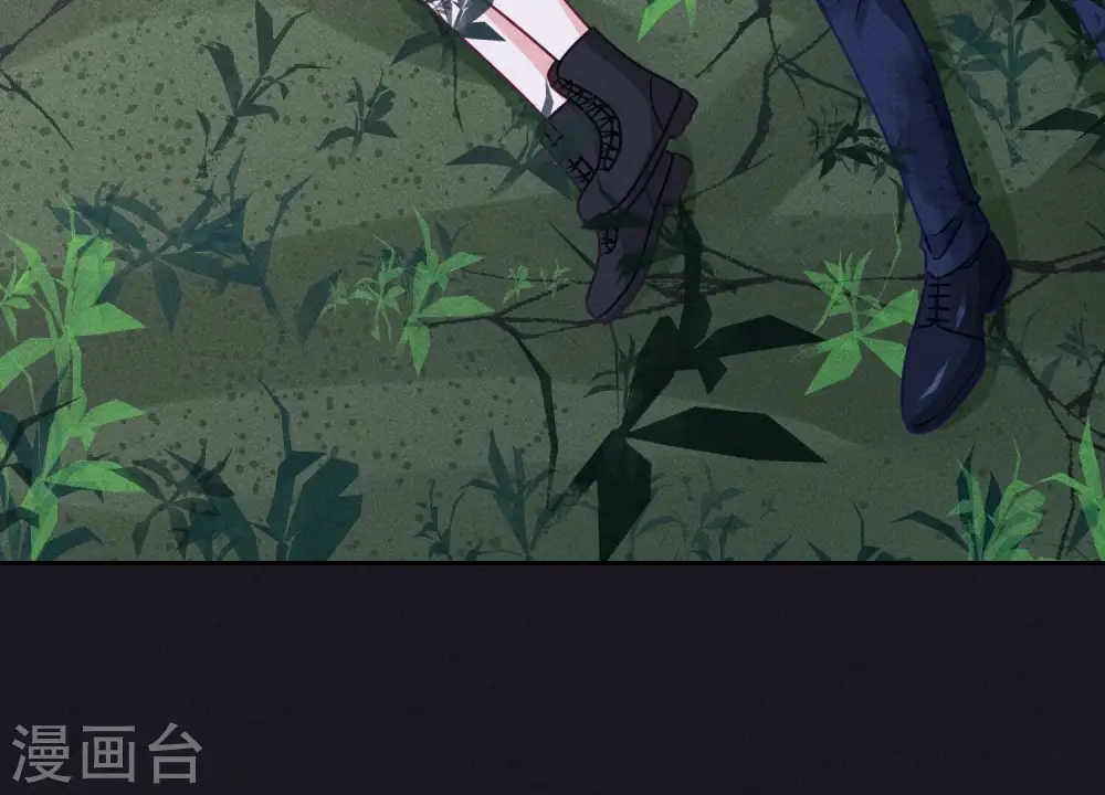 第231话 陆少归位10