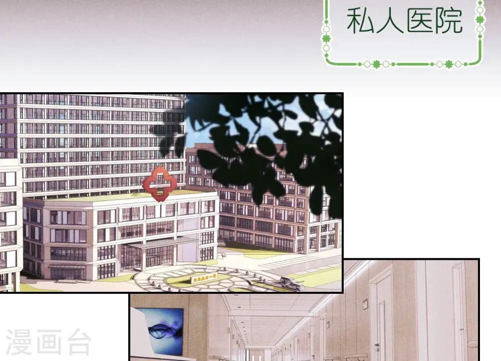 第231话 陆少归位18