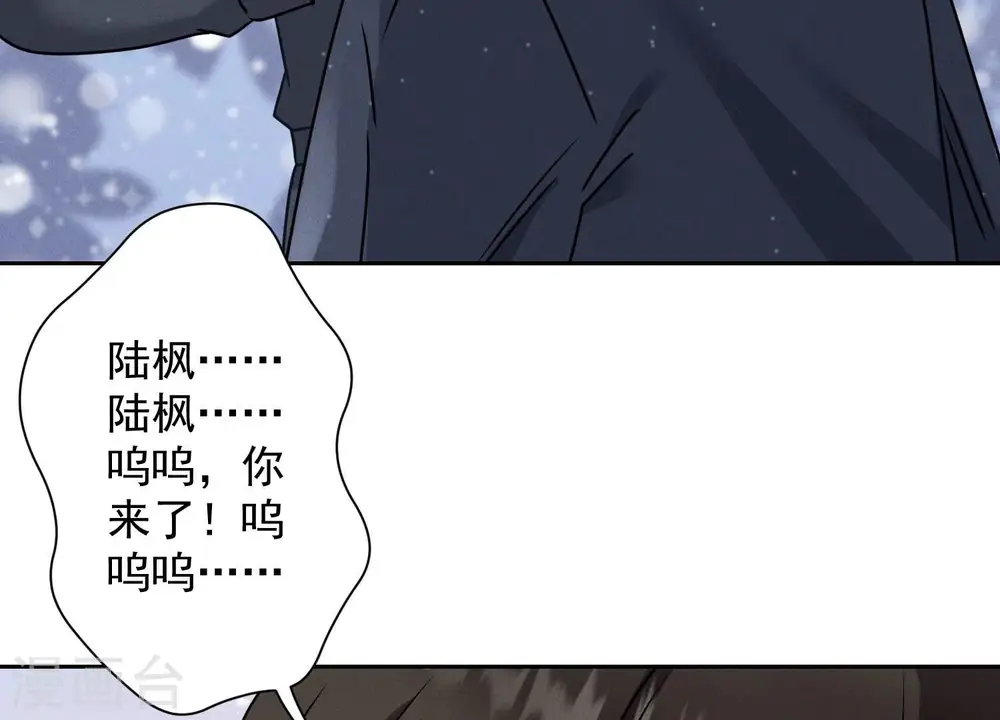 第162话 转移资产98