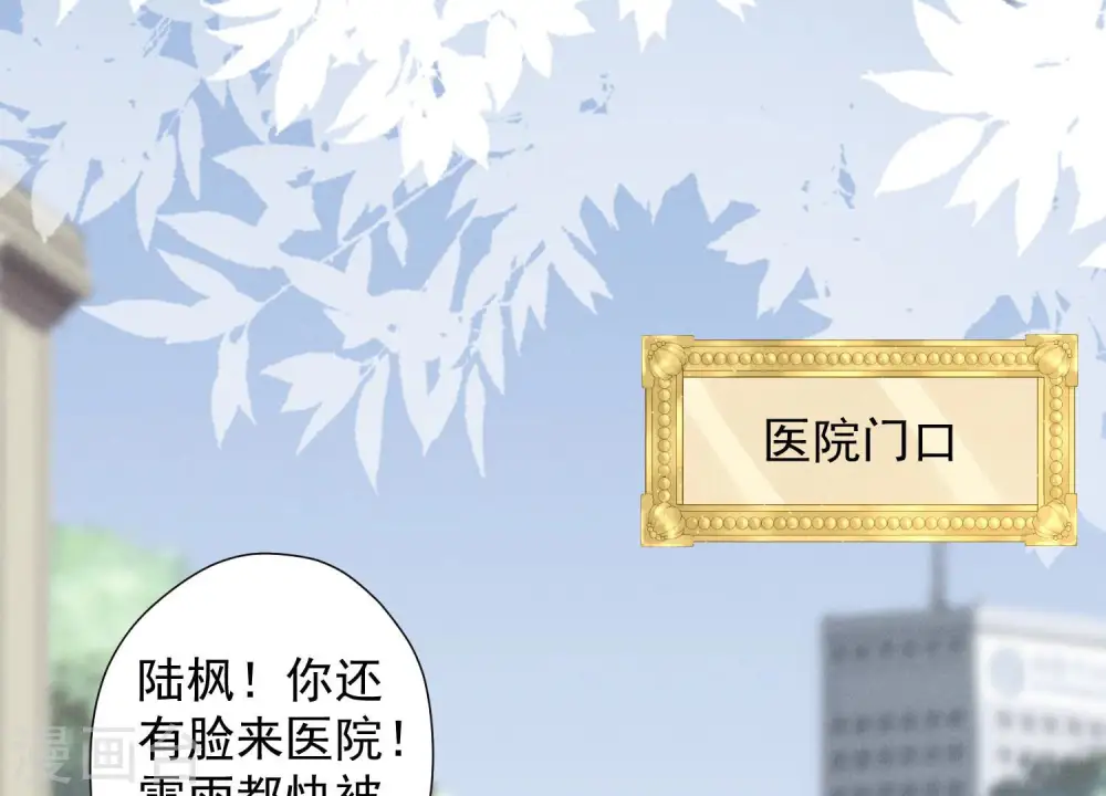 第62话 扫除王氏集团2