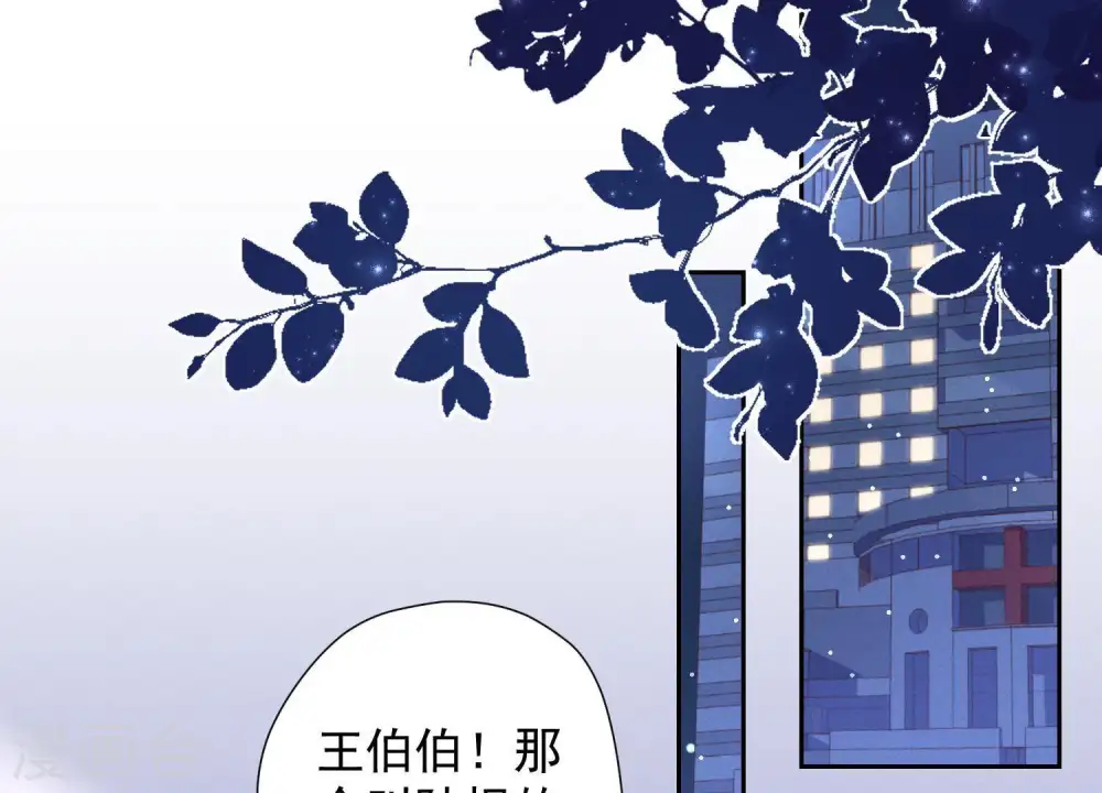 第30话 合法夫妻84