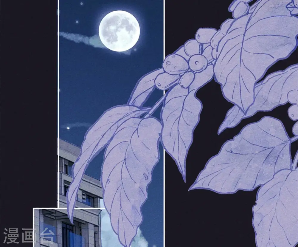 第218话 重要的妹妹50