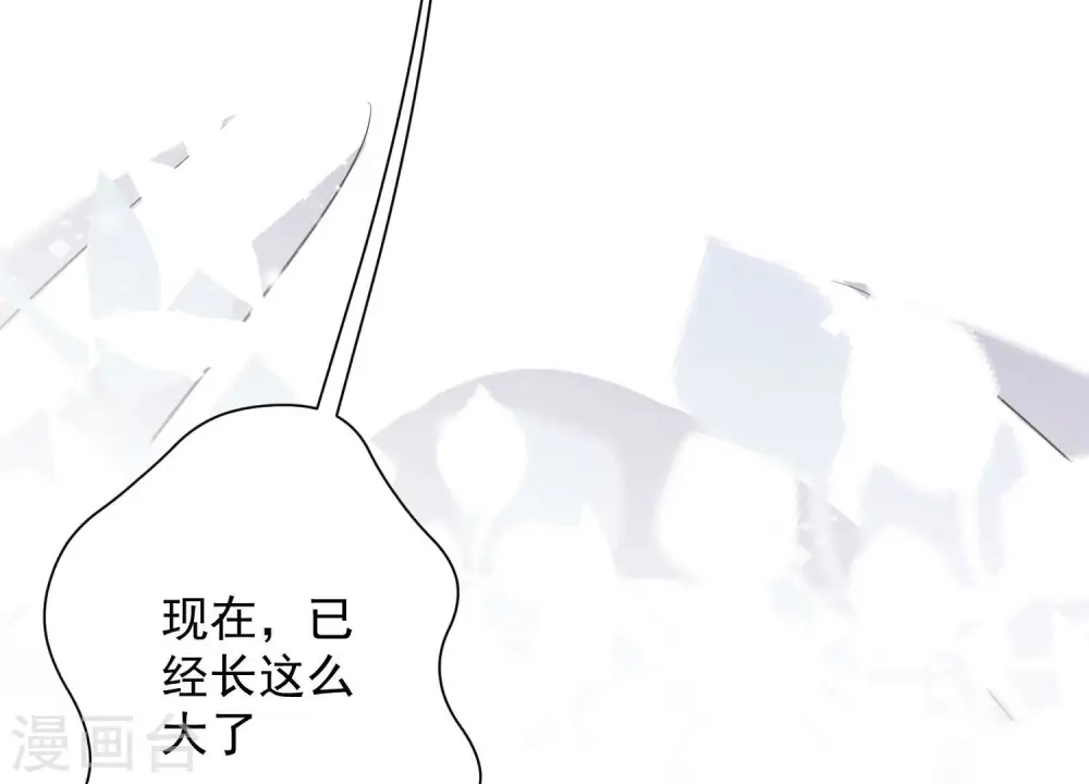 第123话 最后的遗嘱60