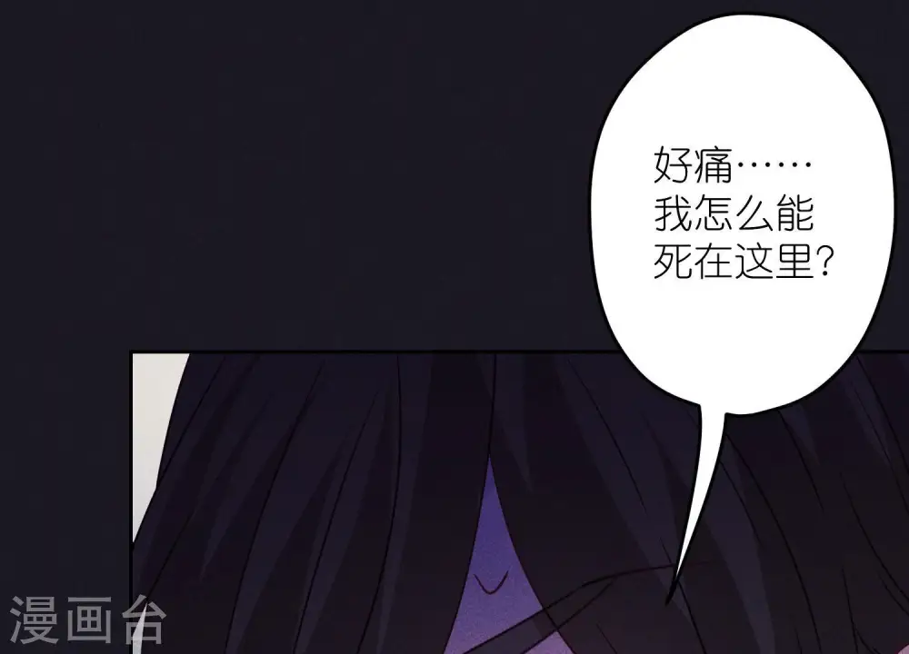 第231话 陆少归位11