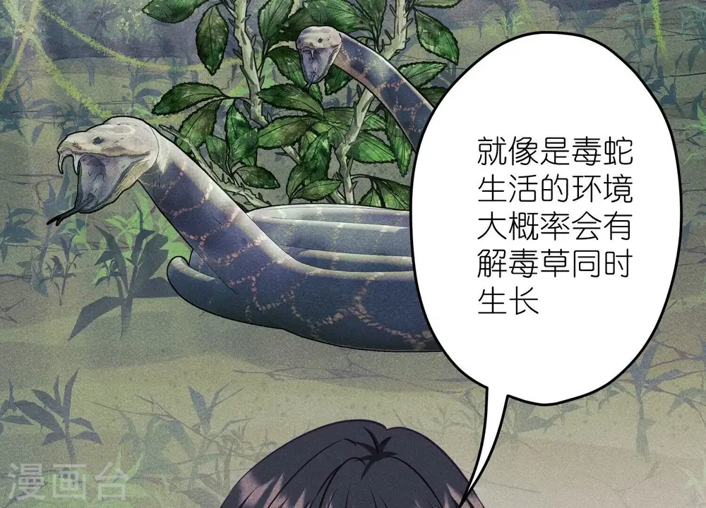 第232话 关心则乱14