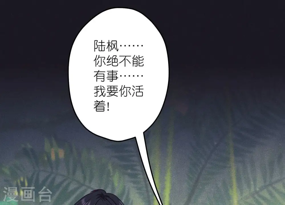 第231话 陆少归位2