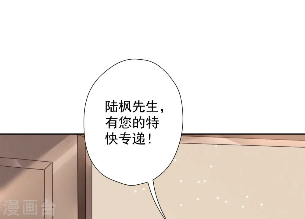 第96话 神秘大礼71
