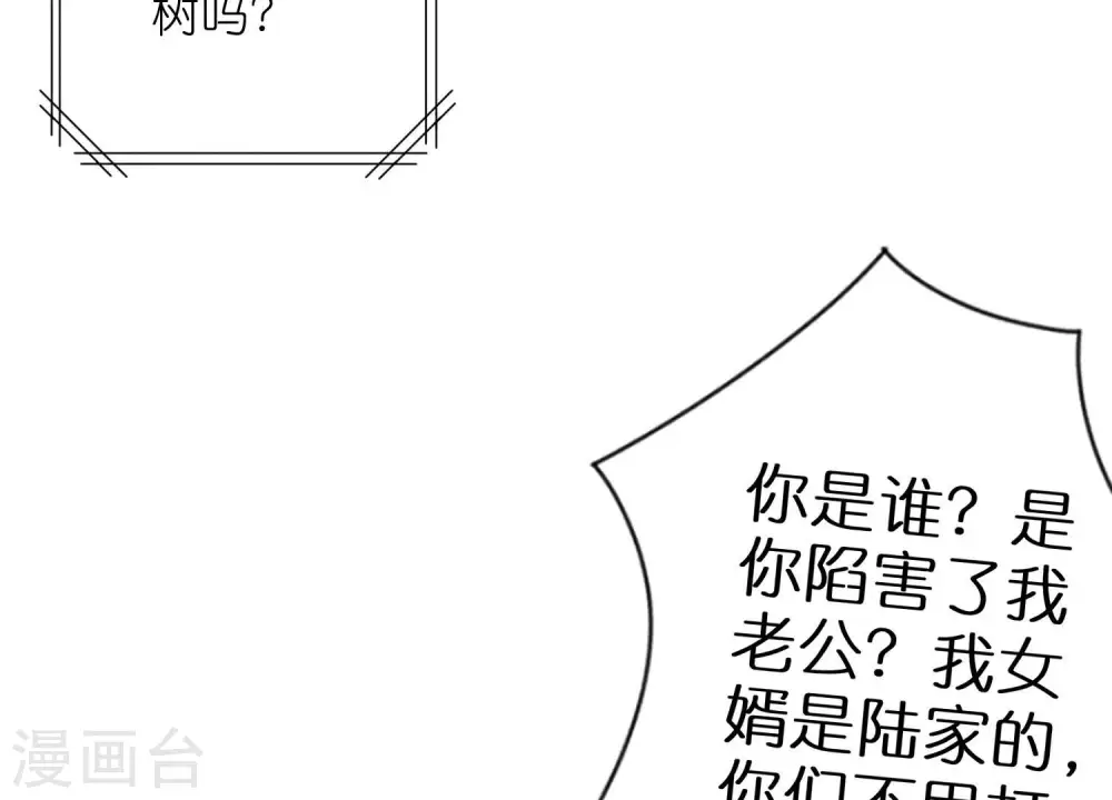 第205话 我就是陆少65