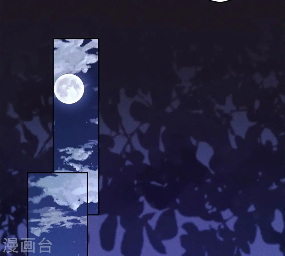 第216话 主动出击52