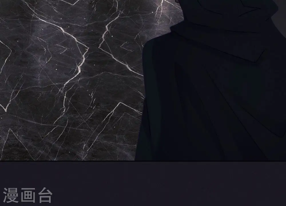 第240话 飞入敌营16