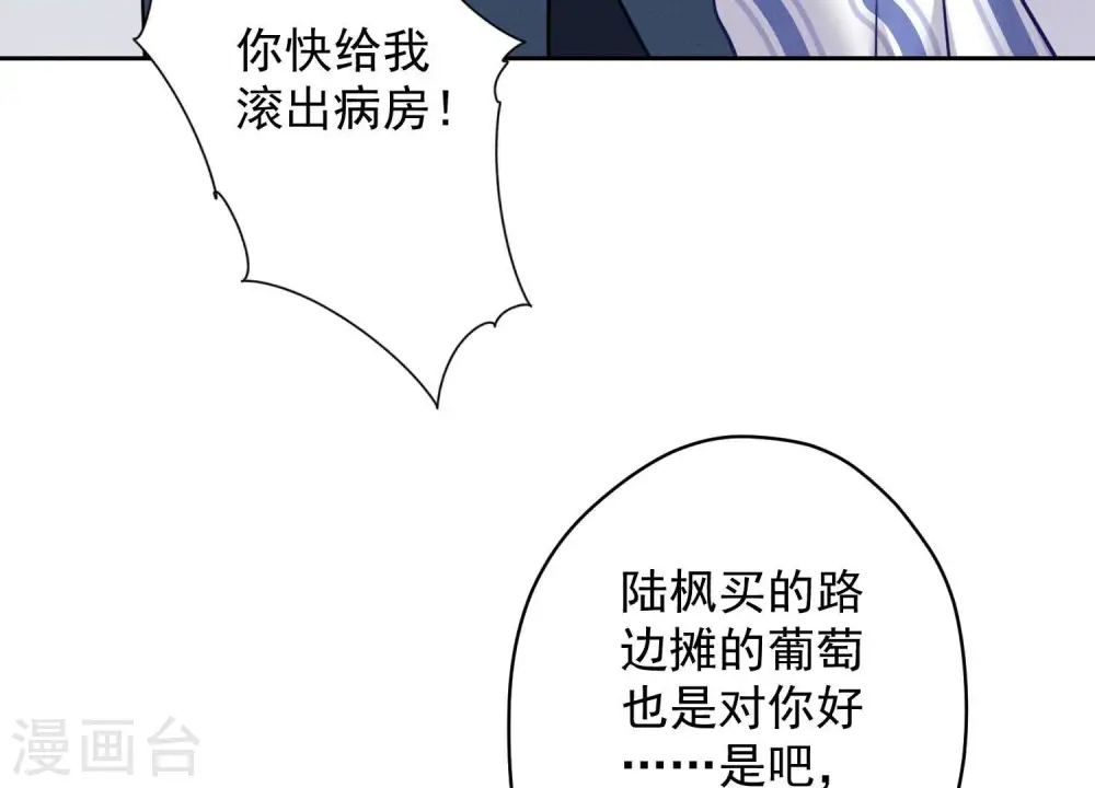 第104话 真假水晶葡萄44