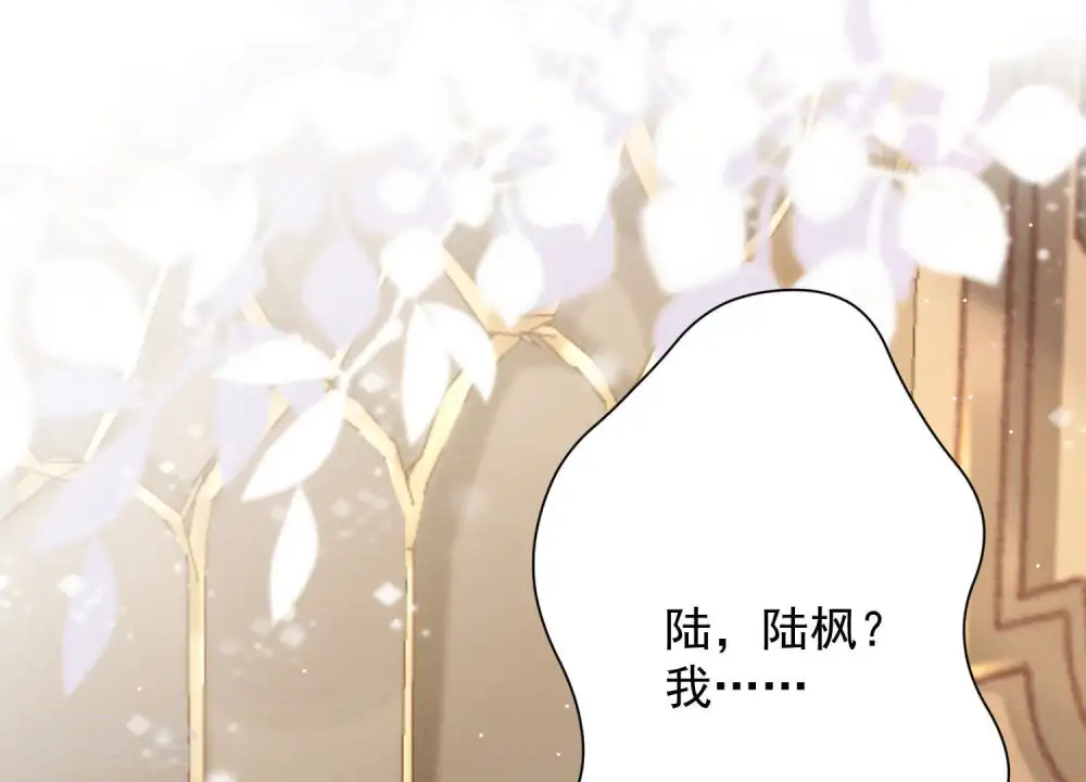 第30话 合法夫妻2
