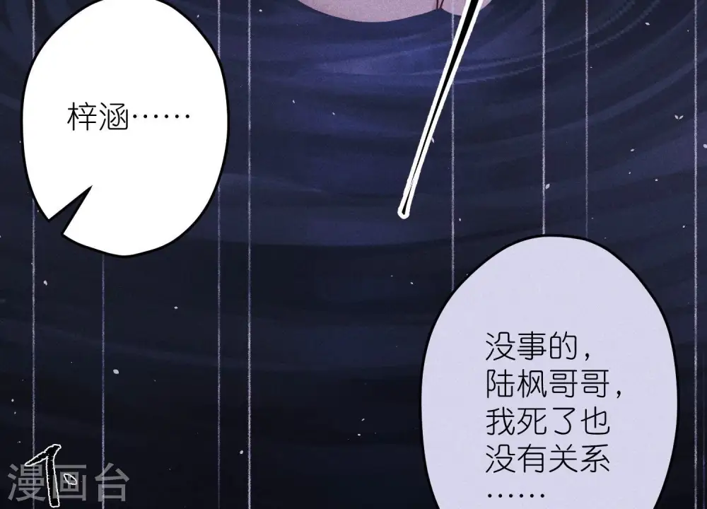 第231话 陆少归位23