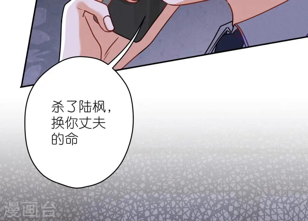第205话 我就是陆少74