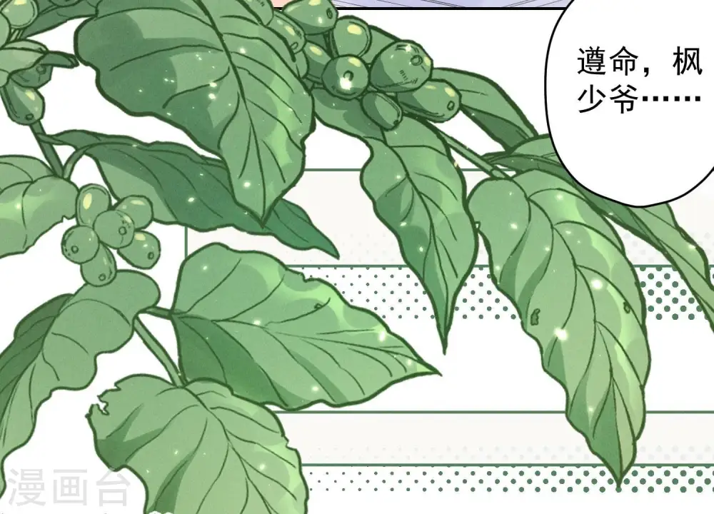 第167话 护夫女总裁27