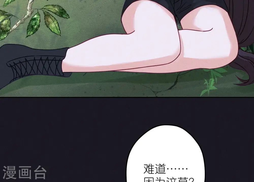 第231话 陆少归位15