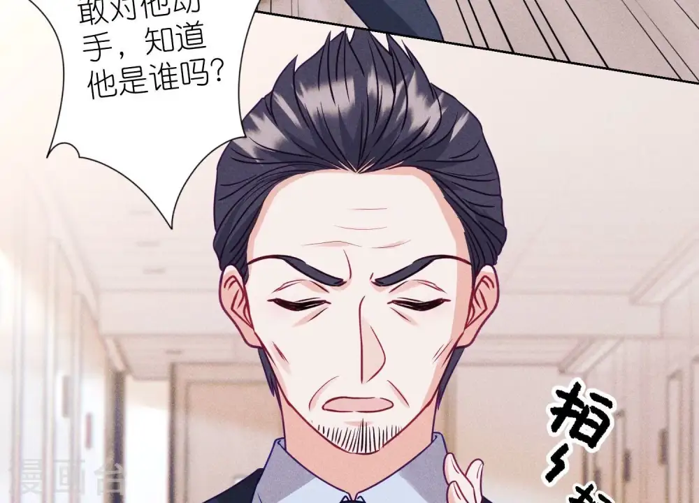 第231话 陆少归位74