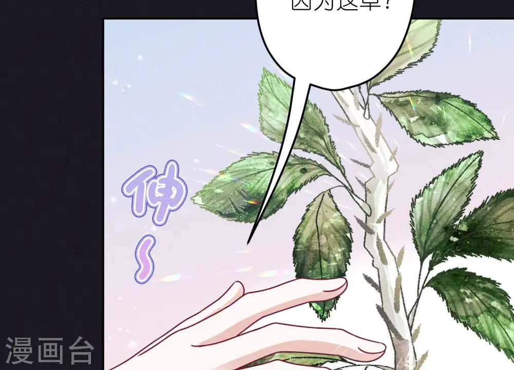 第231话 陆少归位16