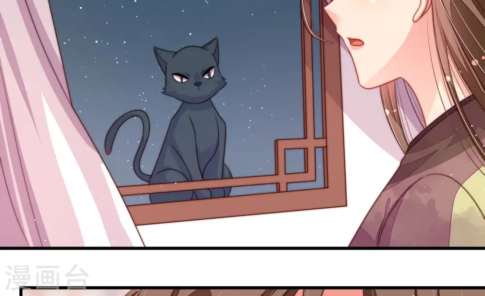 第200话 黑猫7