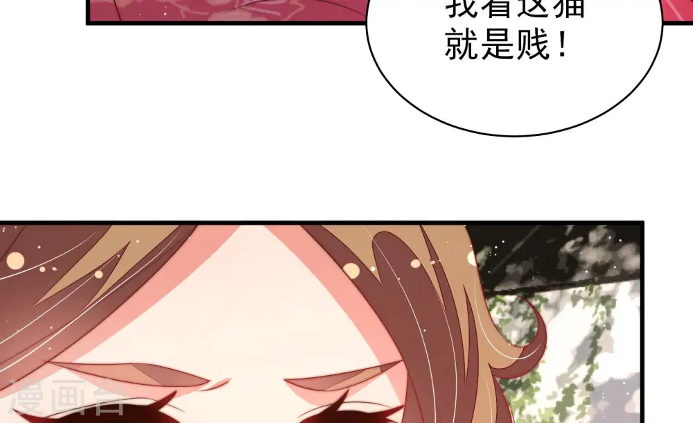 第176话 生日礼物14