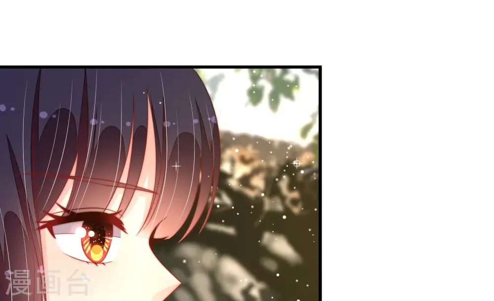 第185话 楚南风的心思65