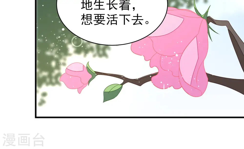 第190话 助攻来啦25