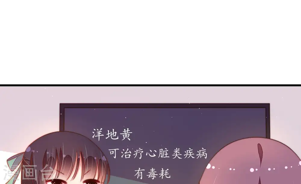 第122话 灵猫香11