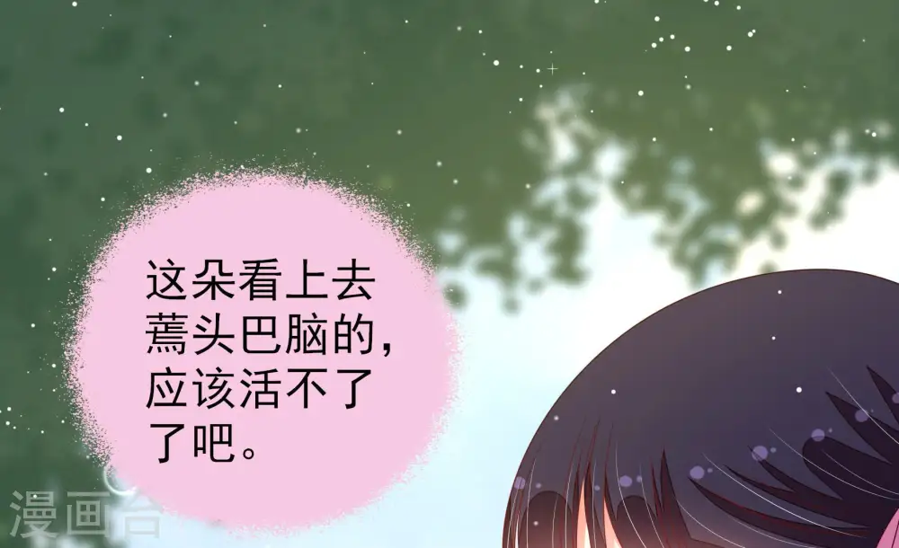 第190话 助攻来啦20