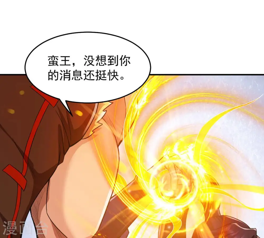第124话 喂！我才是林辰！48