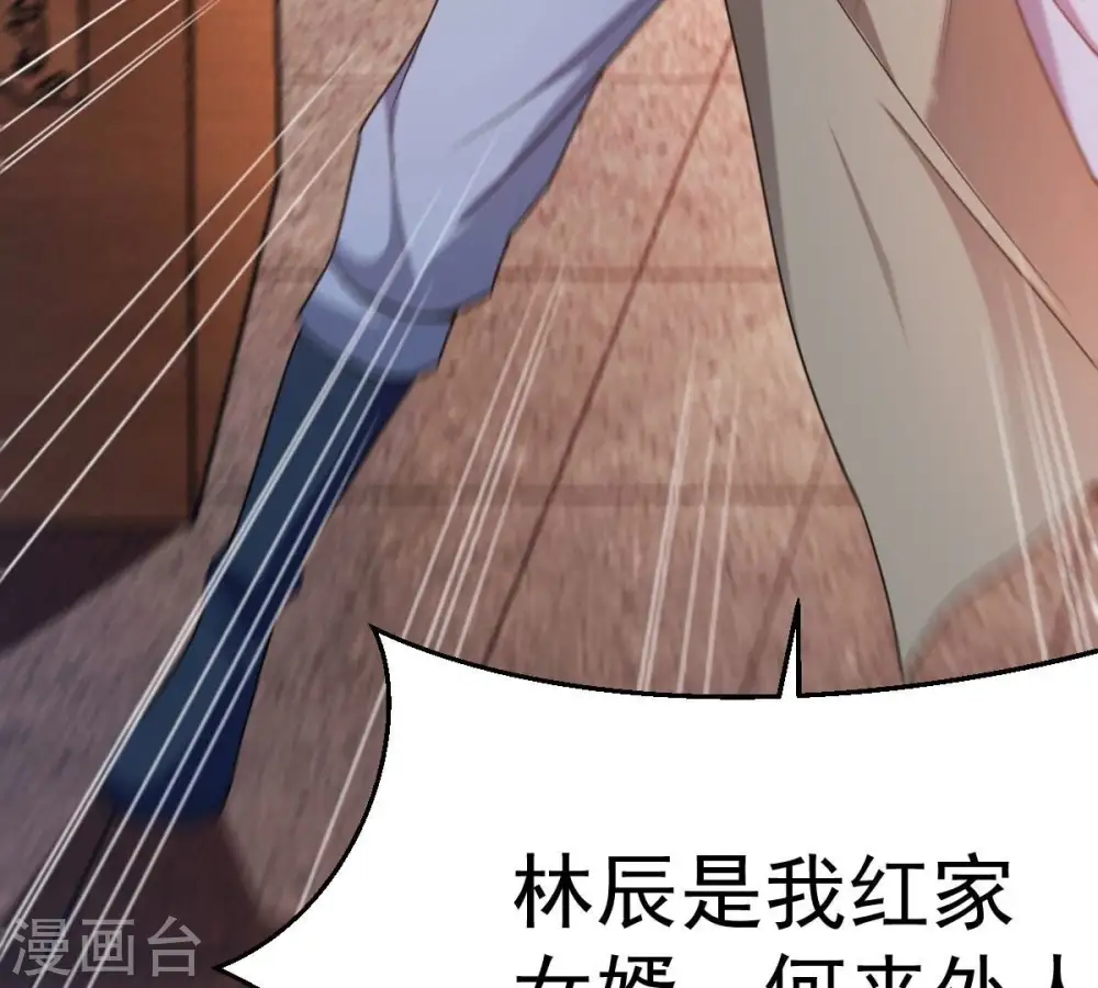 第202话 新一任的红家家主14