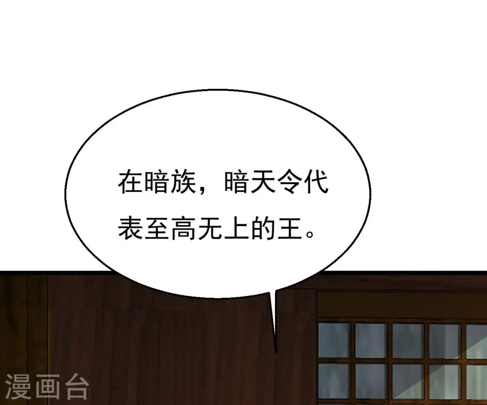 第319话 暗天令27