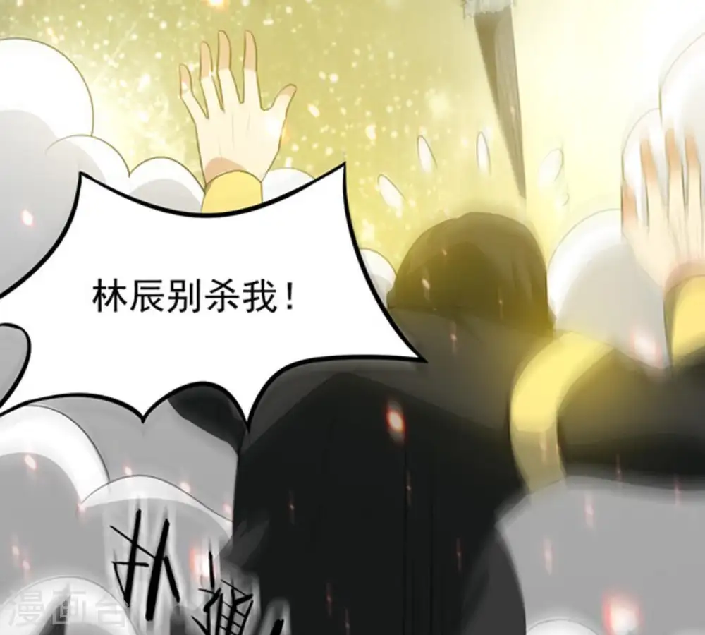 第65话 舒天玉灵花44