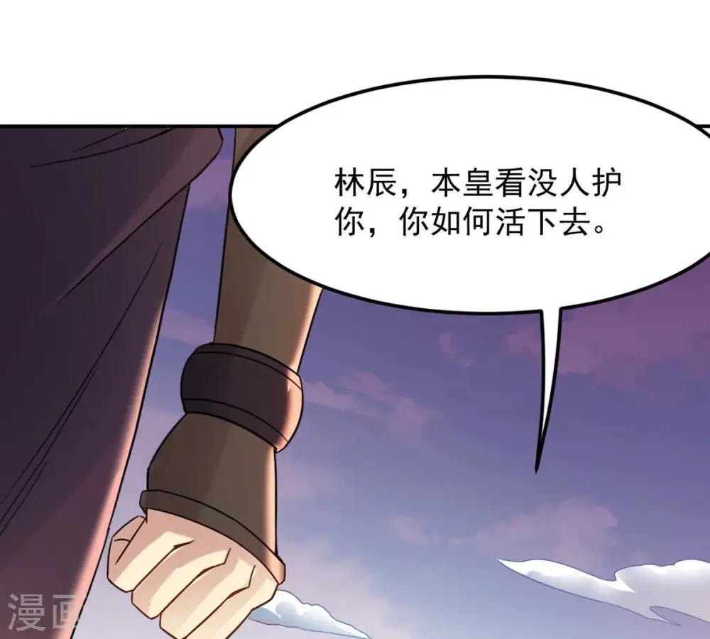 第132话 我不需要人护着66